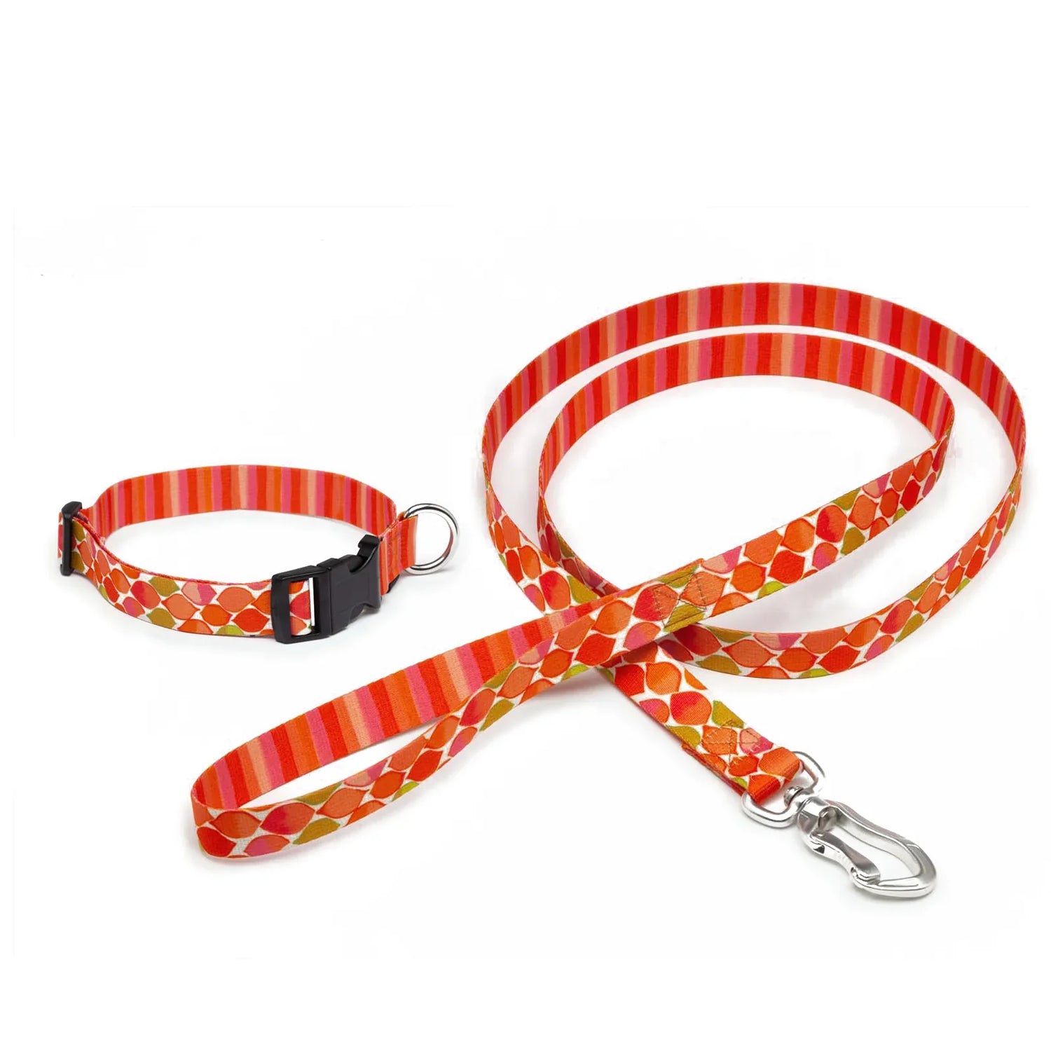 Collars and leashes